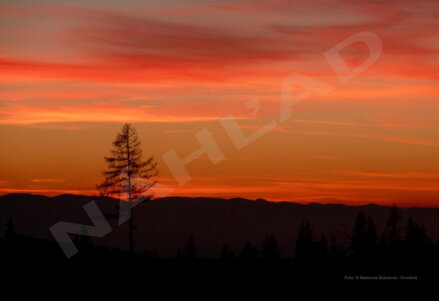 406 55x80 platno kopie